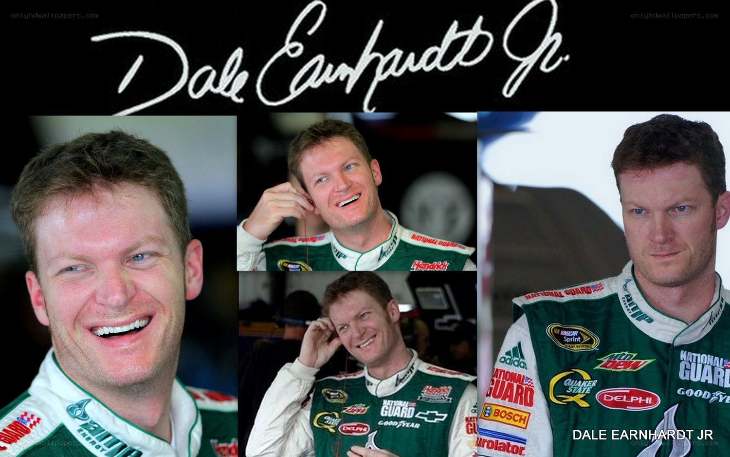 Dale Earnhardt Jr collage