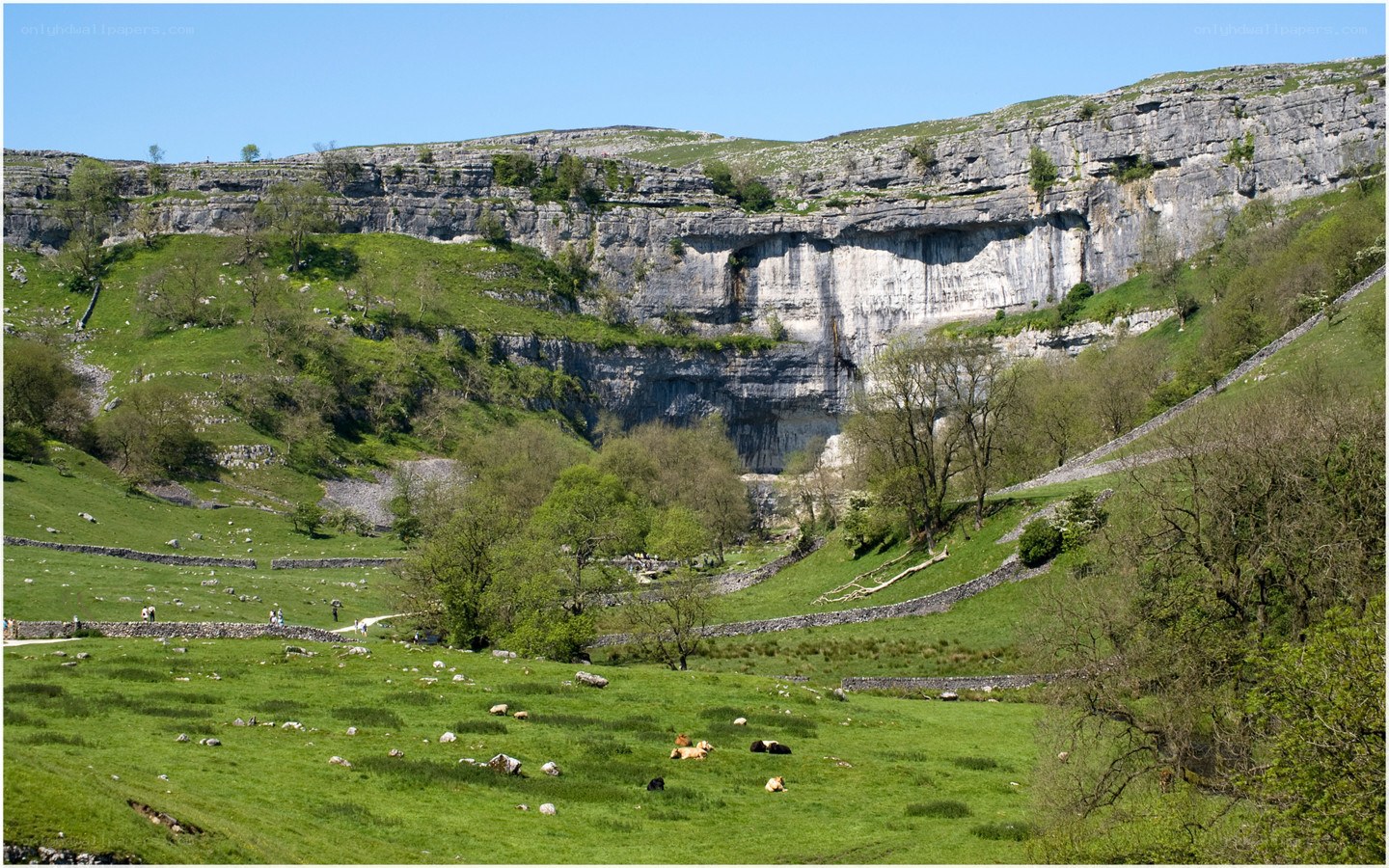 Daleside valley with limestone cliffs