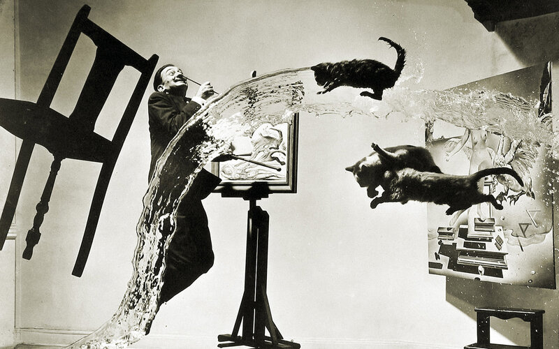 Dali painting with cats and water