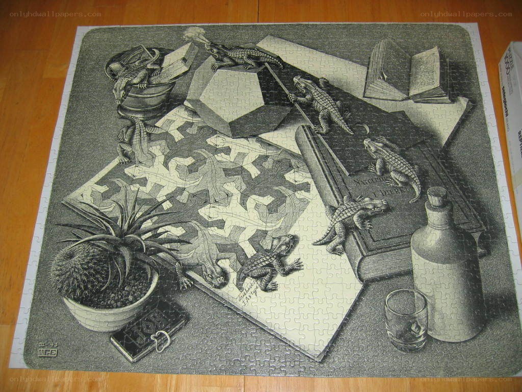 Dali's Lizard Still Life Puzzle