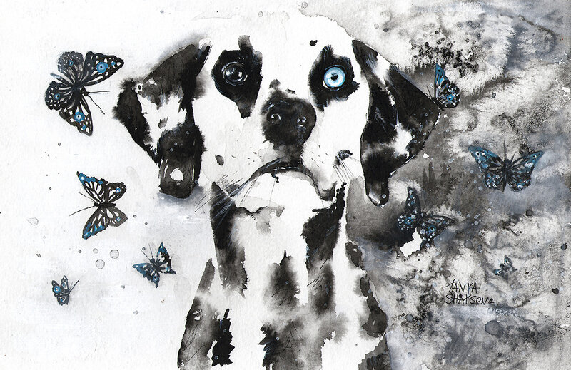 Dalmatian Dog with Butterflies