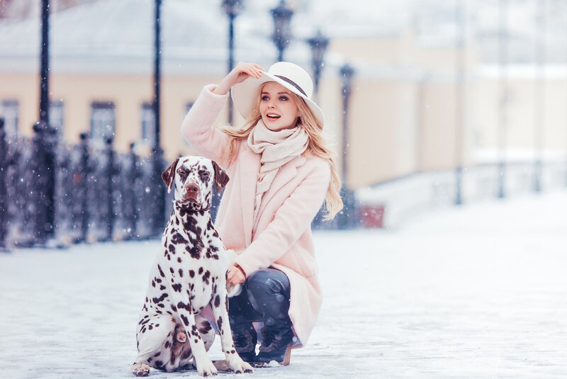 Dalmatian Dog with Woman