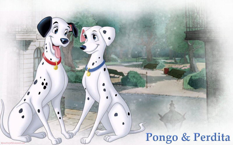 Dalmatian Dogs in Park