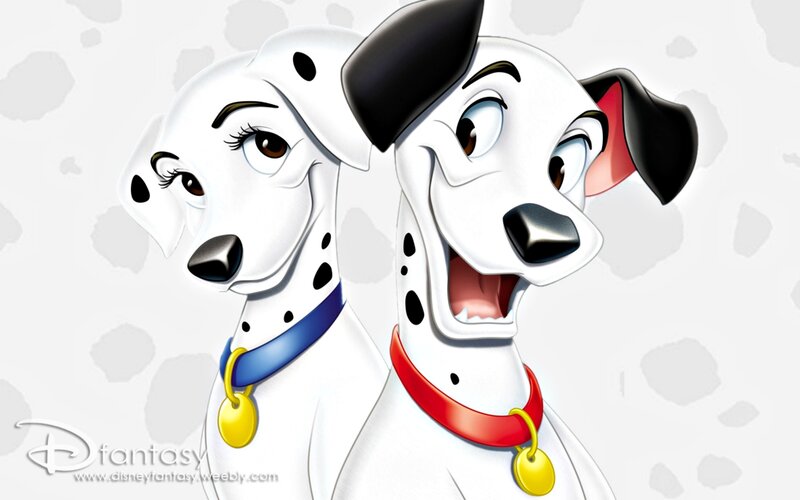 Dalmatian Dogs