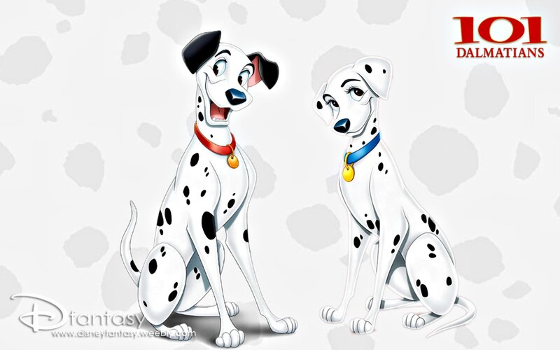 Dalmatian Dogs — White