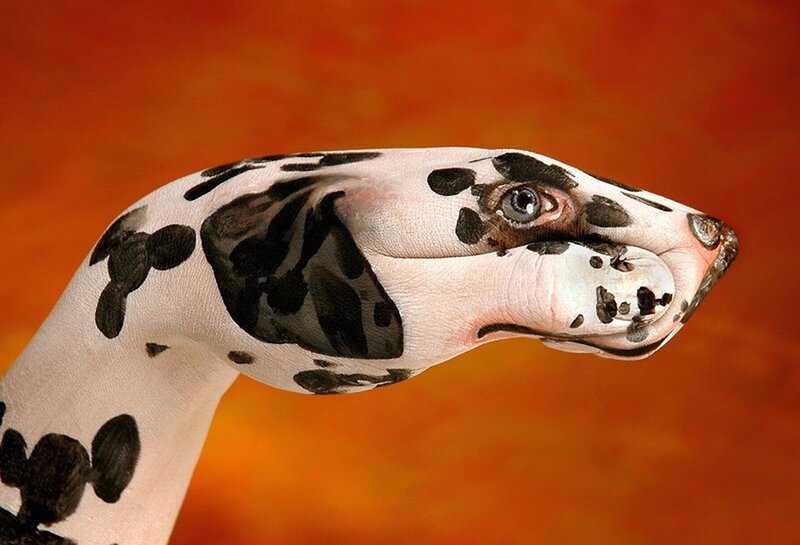 Dalmatian Painted on Hand