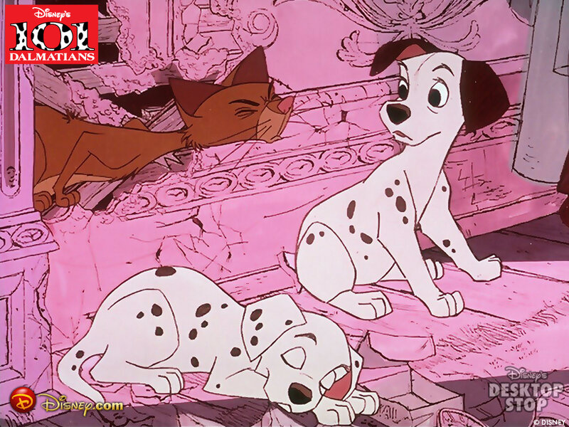 Dalmatian Puppies and Cat