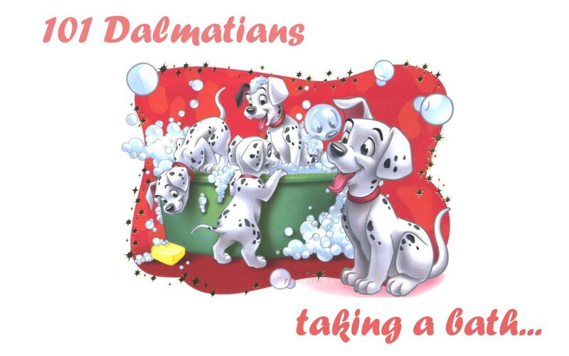 Dalmatian Puppies Bathing