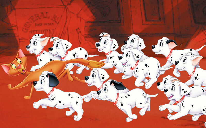 Dalmatian Puppies Running