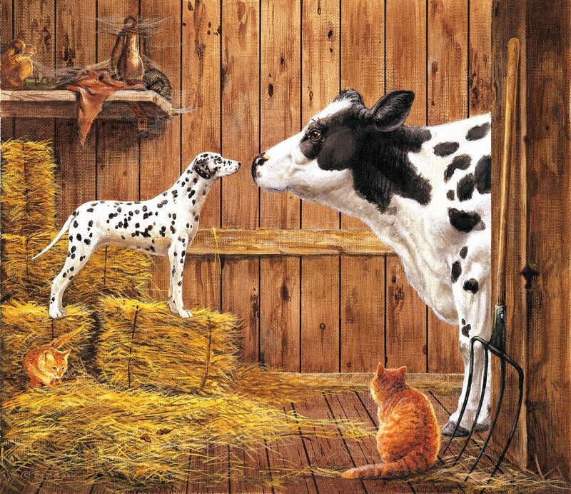 Dalmatian Puppy and Calf