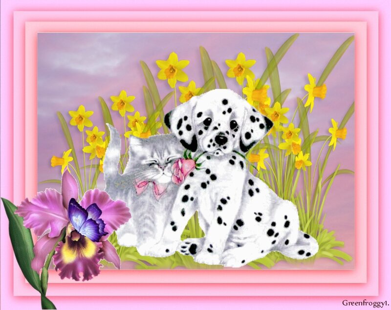 Dalmatian Puppy and Kitten — Pink, Peaceful