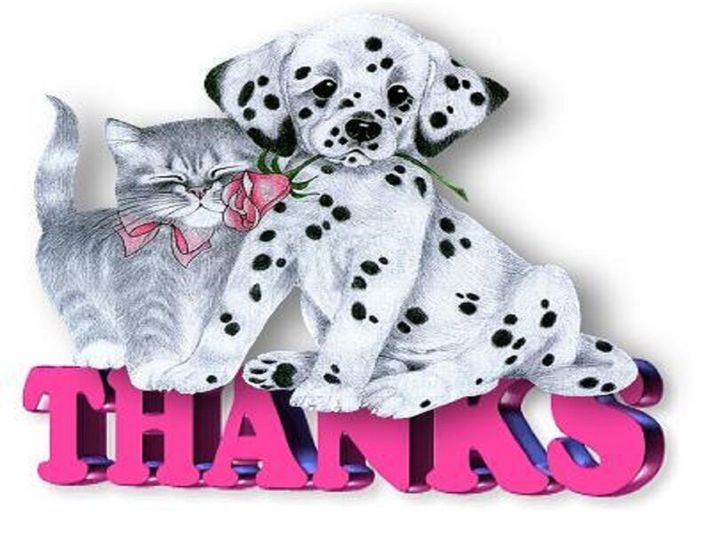 Dalmatian Puppy and Kitten — Pink