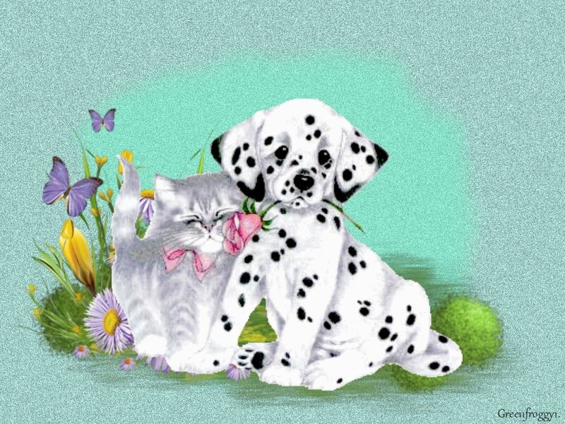 Dalmatian Puppy and Kitten — Teal