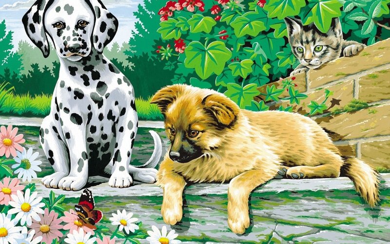 Dalmatian Puppy and Puppy