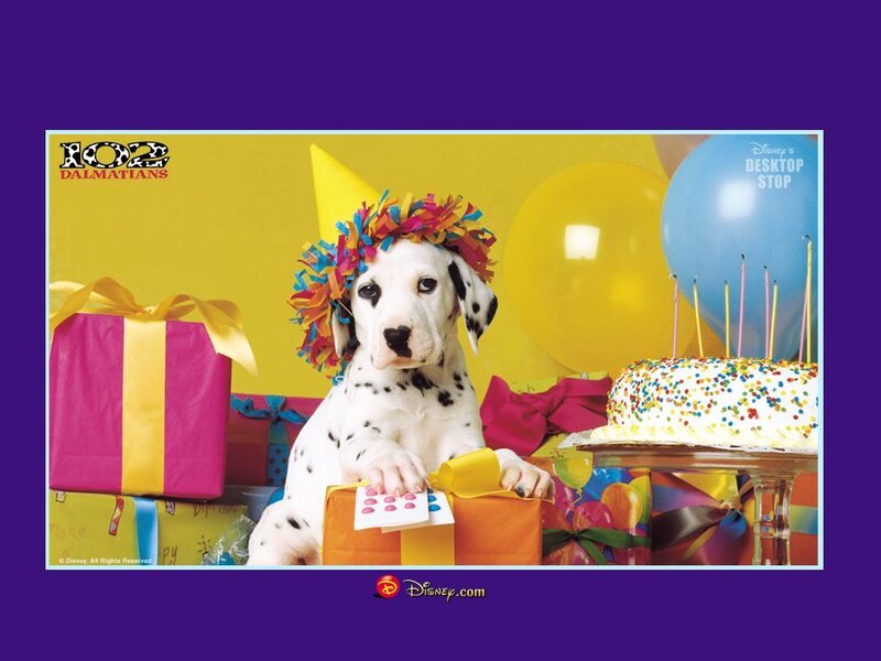 Dalmatian puppy birthday party