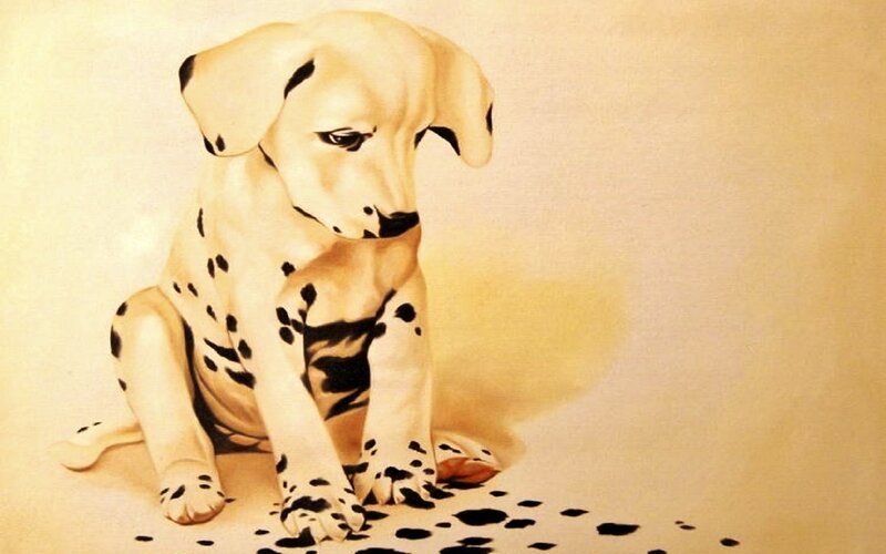 Dalmatian Puppy — Cream