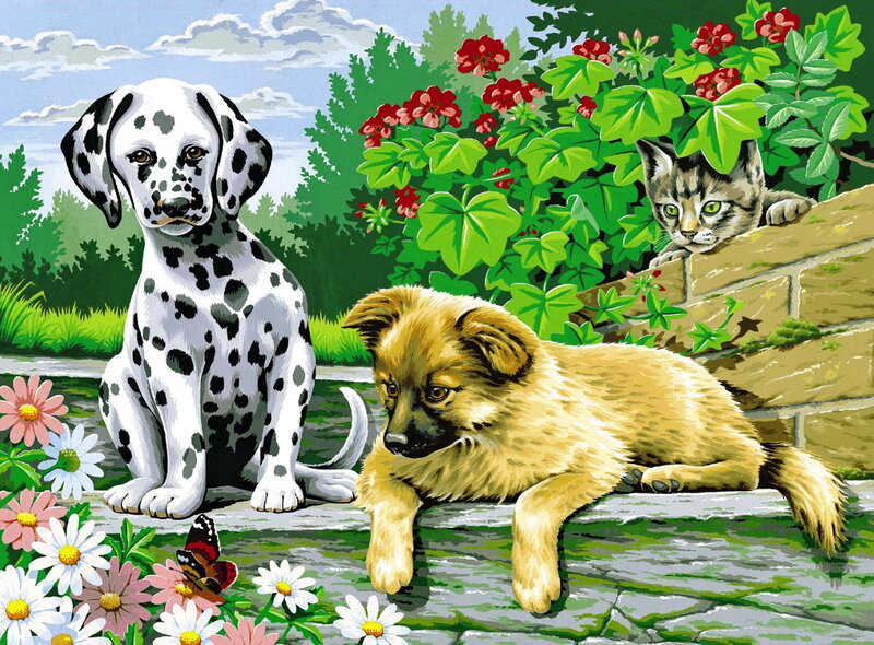 Dalmatian Puppy — Green, Peaceful