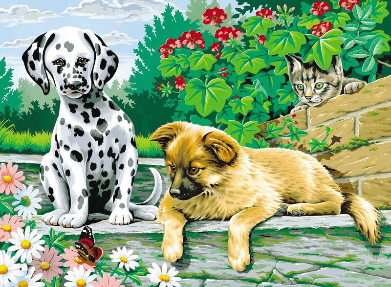 Dalmatian Puppy in Garden — Green