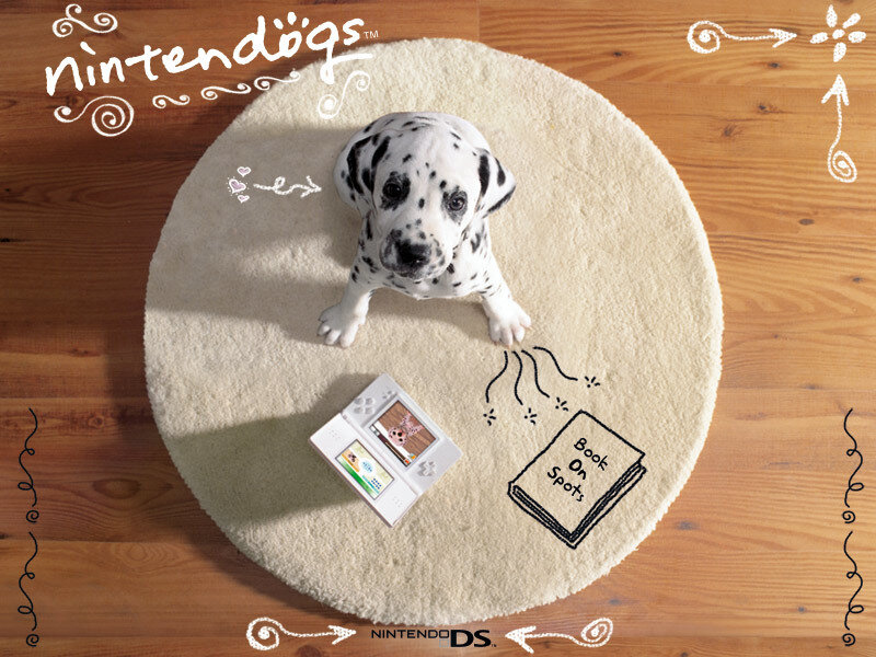 Dalmatian puppy on rug