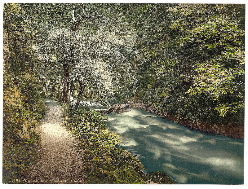 Dalmellington Ness Glen
