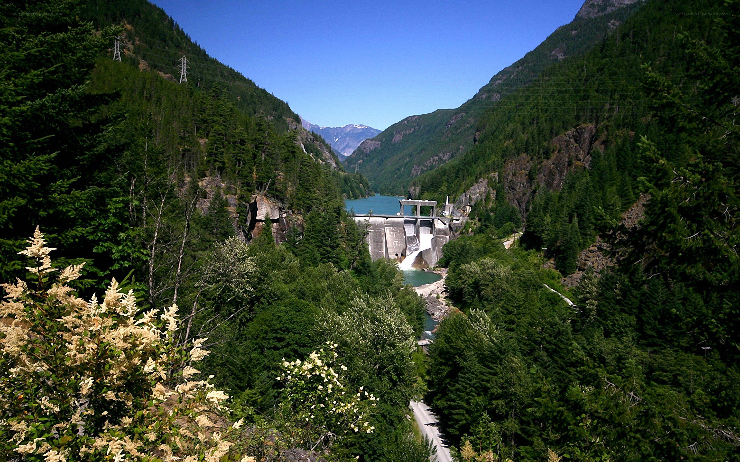 Dam in a forested valley