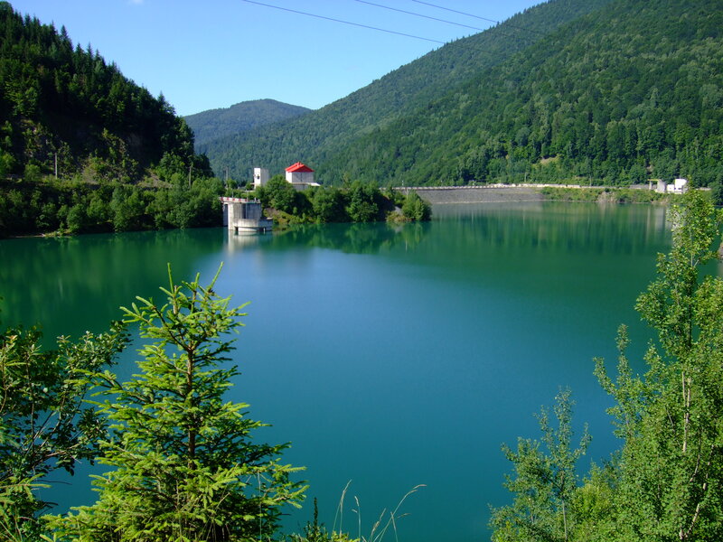 Dam in Forested Valley — Green