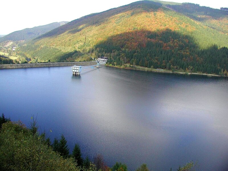 Dam in Forested Valley