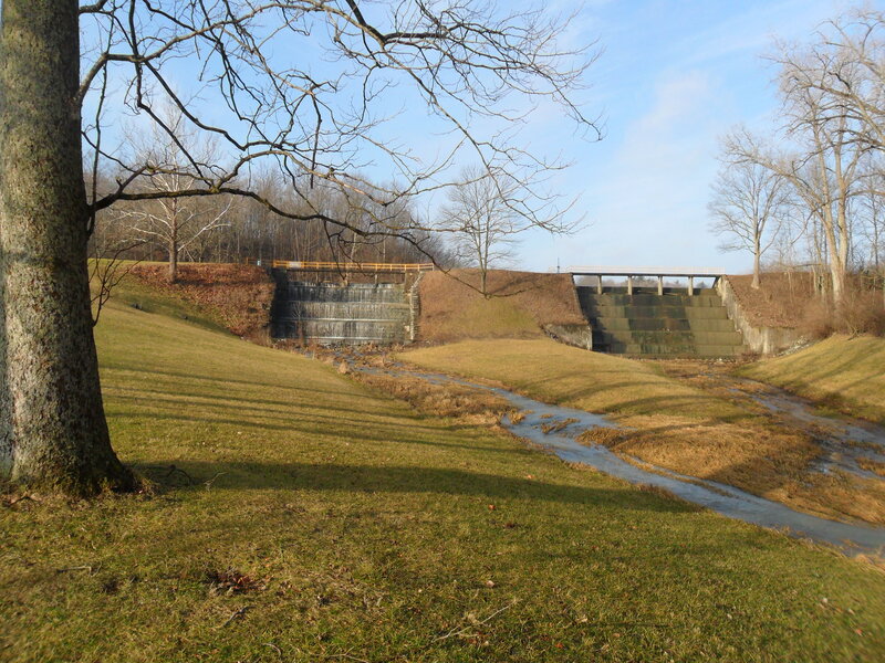 Dam in Grassy Field