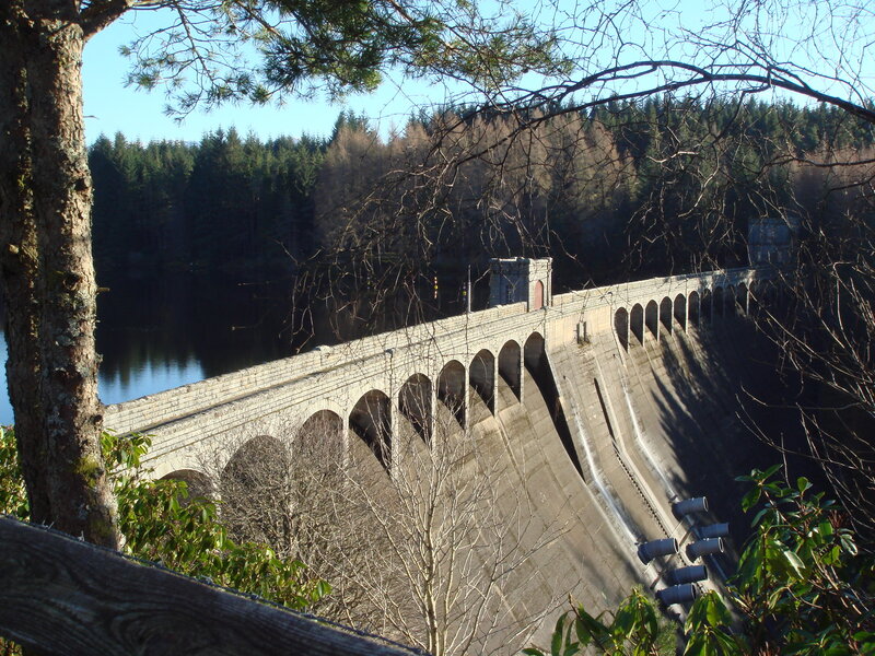 Dam with forest backdrop