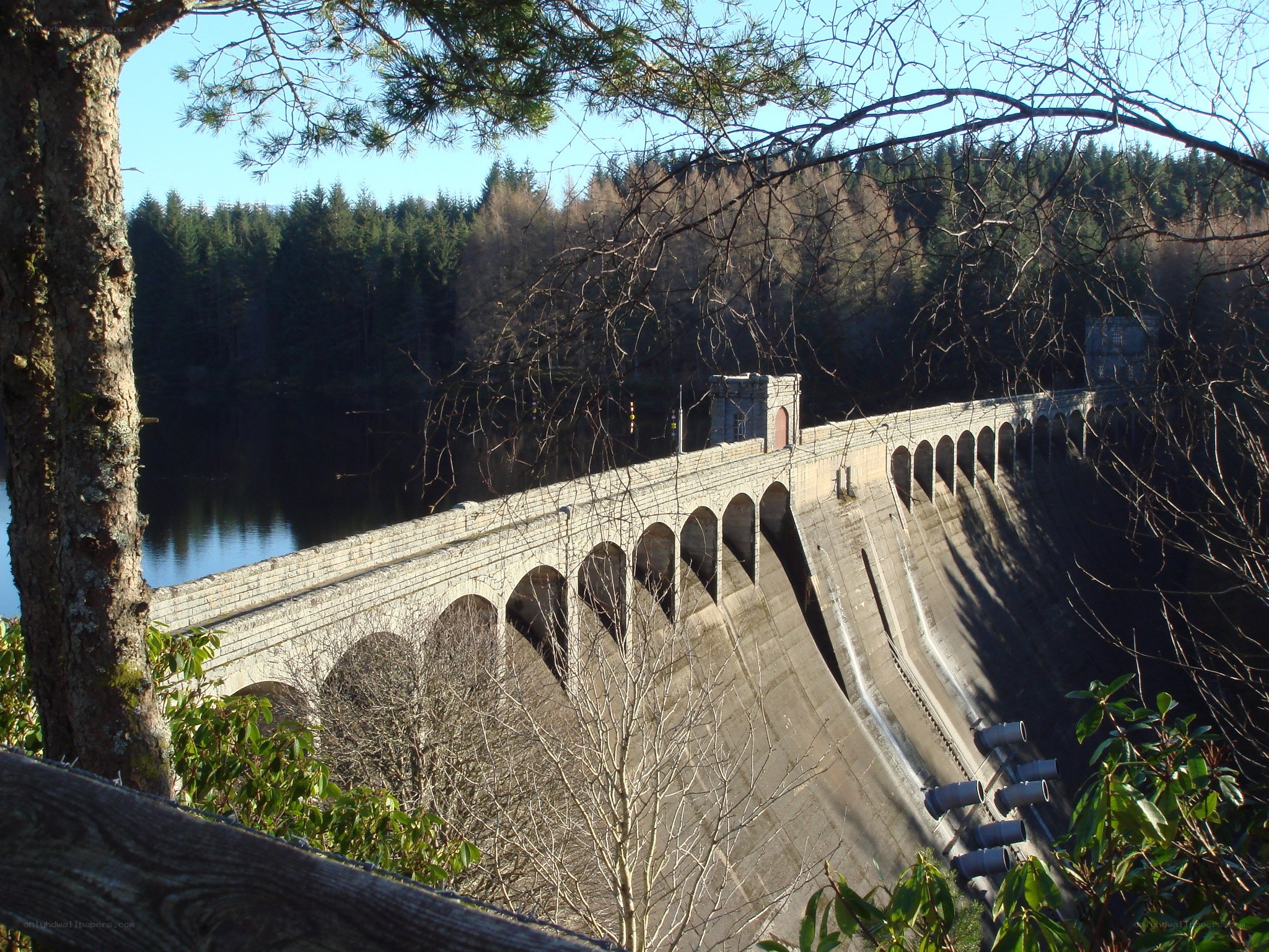 Dam with forest backdrop