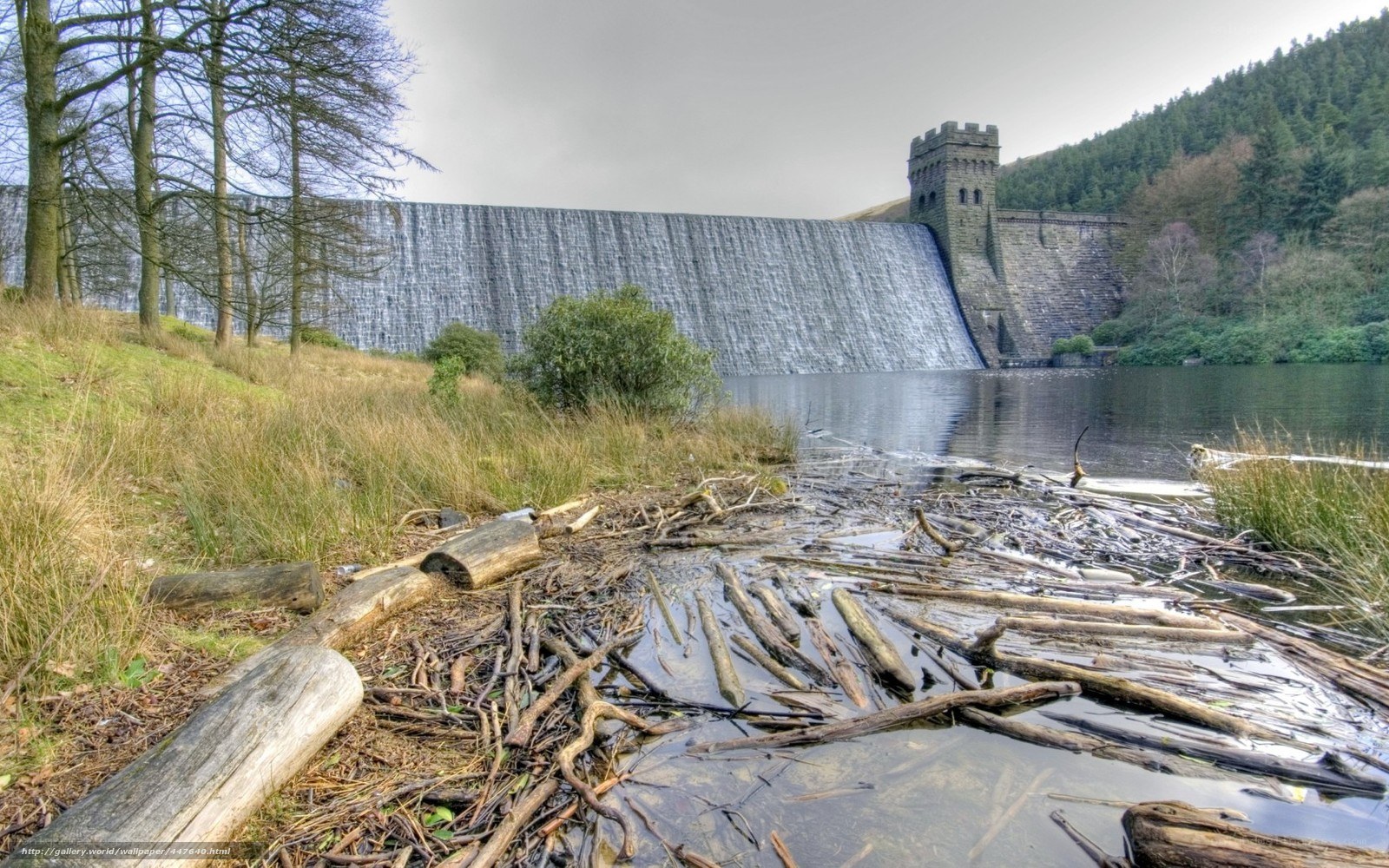 Dam with forested hills