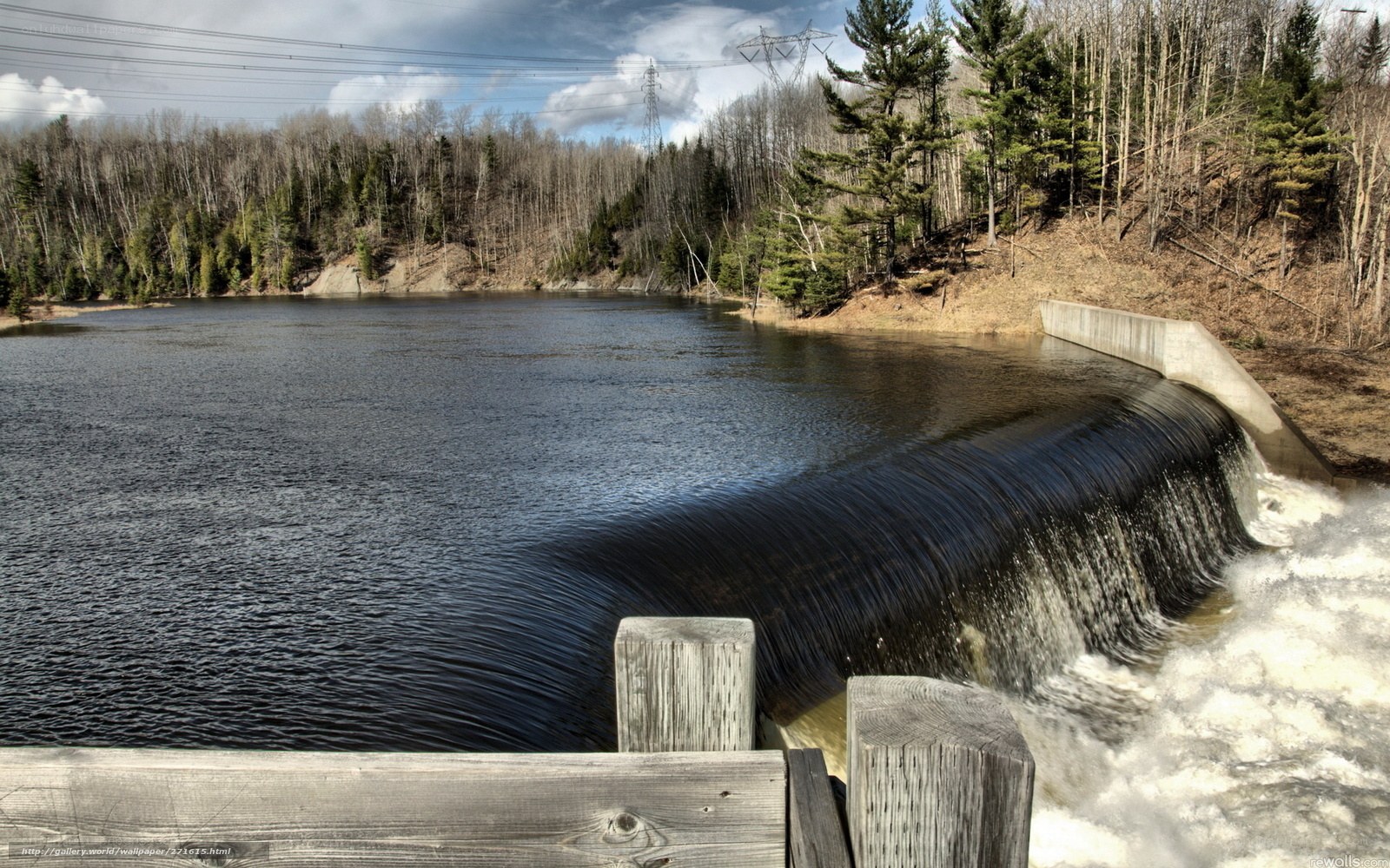 Dam with waterfall in forest