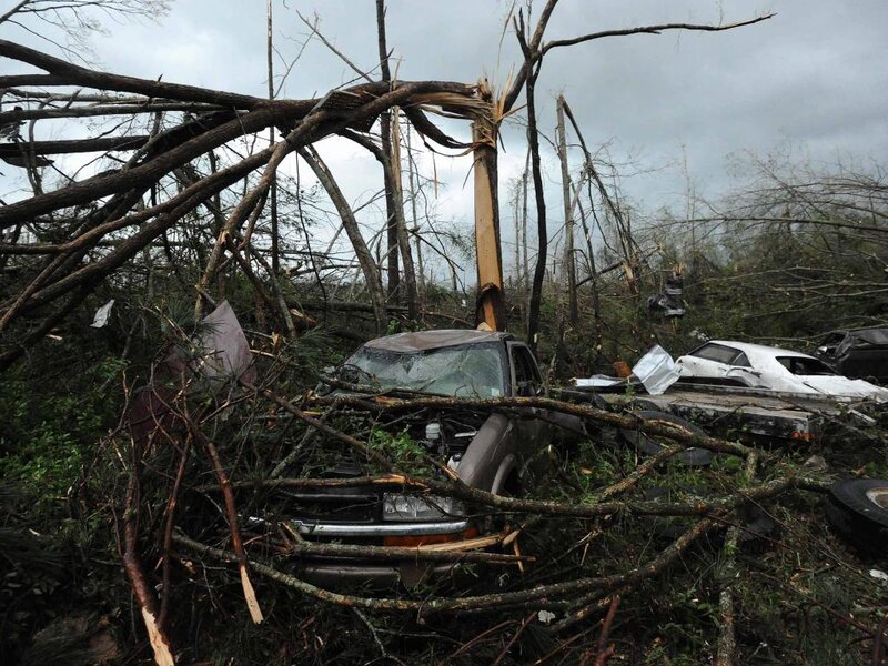Damaged Cars under Trees