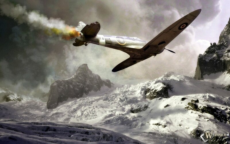 Damaged Fighter Plane