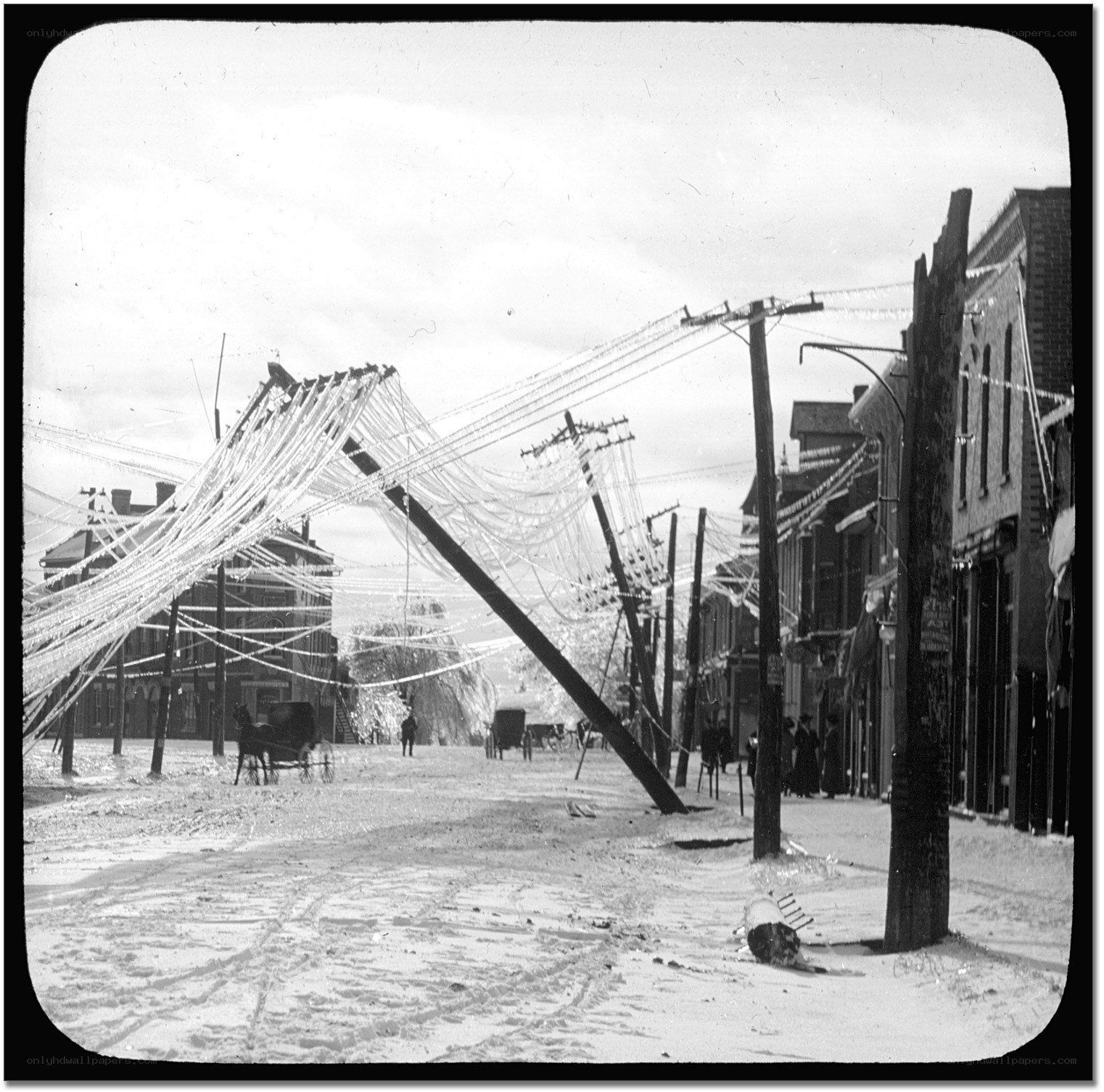 Damaged utility poles in snow