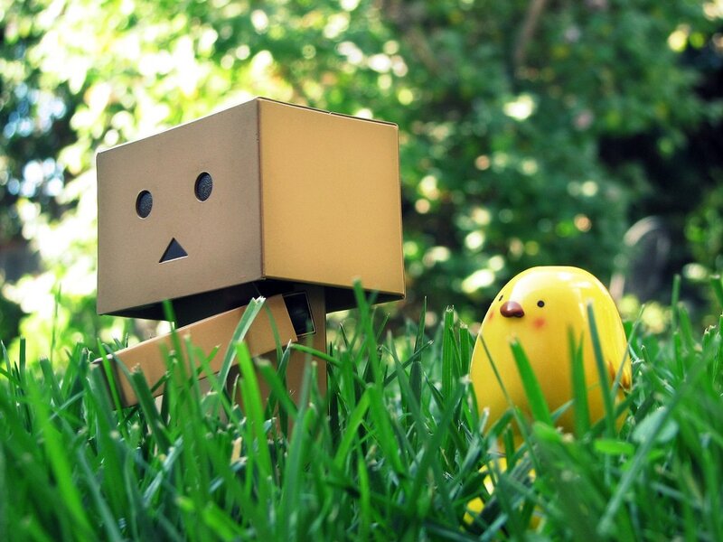 Danbo and a chick in grass