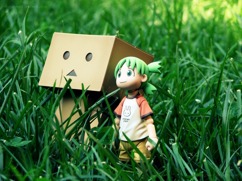 Danbo and a figurine in grass