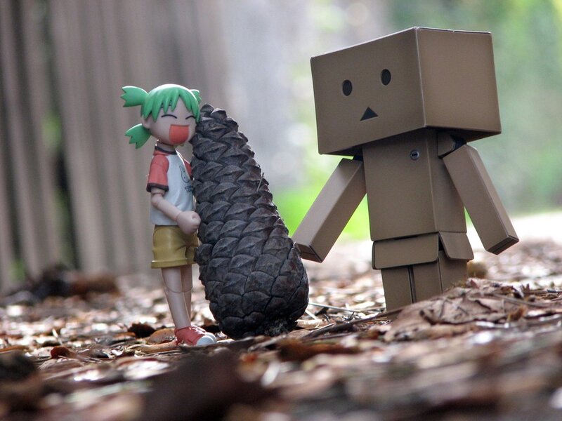 Danbo and figurine with pinecone