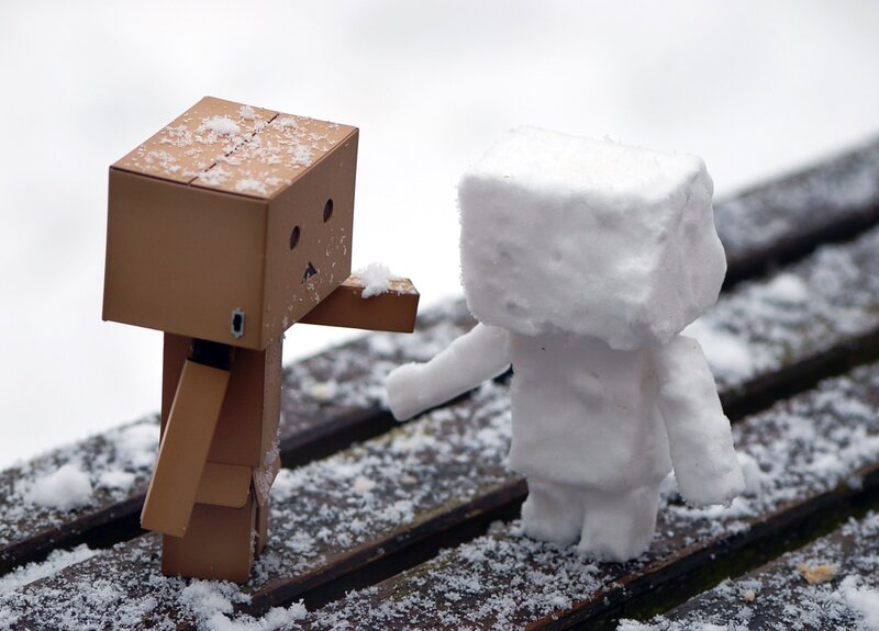 Danbo and Snowman