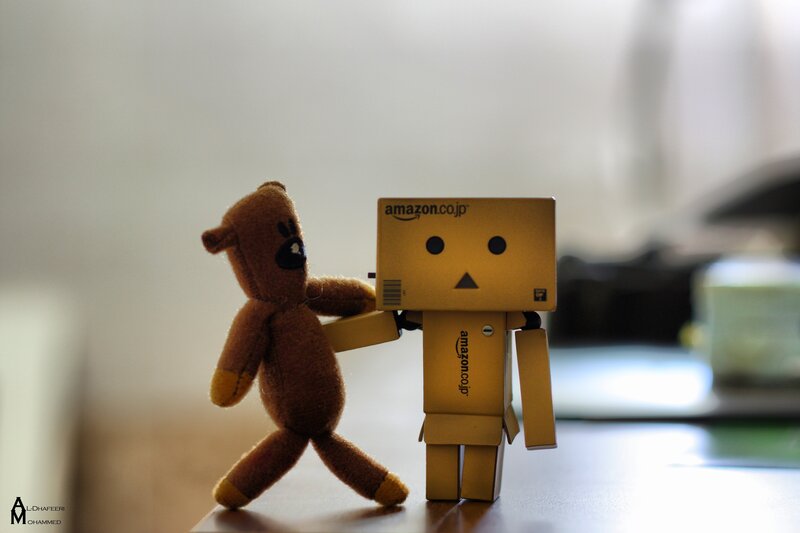 Danbo and teddy bear standing