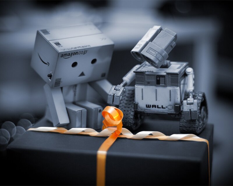 Danbo and Wall-E with gift