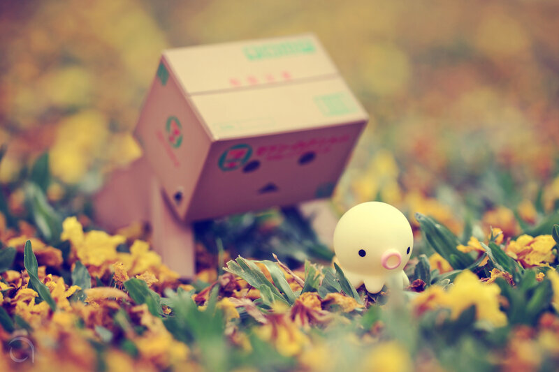 Danbo and Yellow Chick