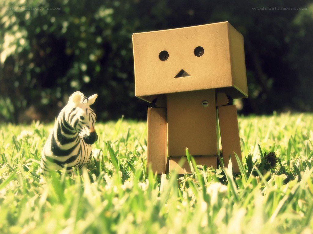 Danbo and zebra in grass
