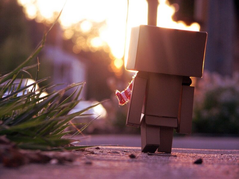 Danbo at sunset