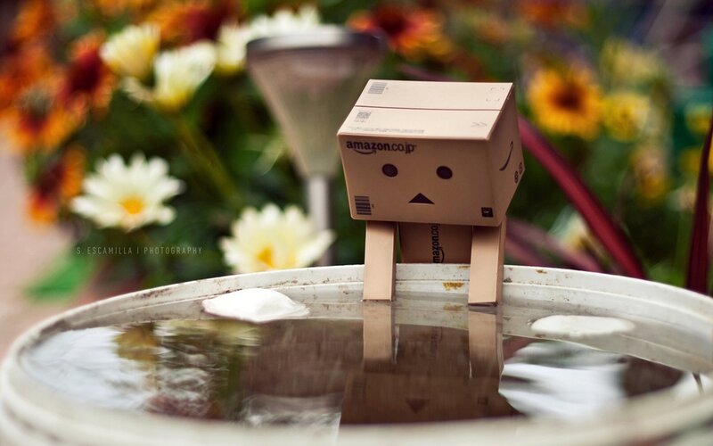 Danbo by a birdbath