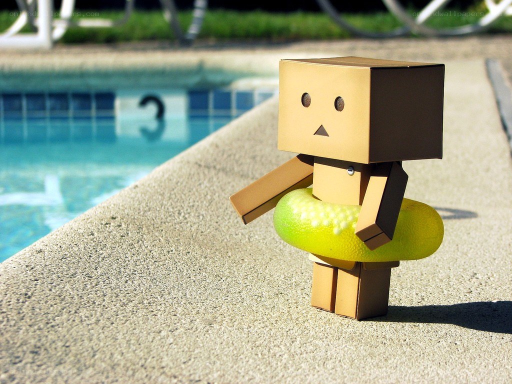 Danbo by a pool
