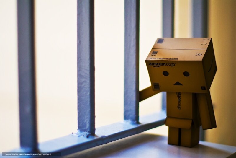 Danbo by a window