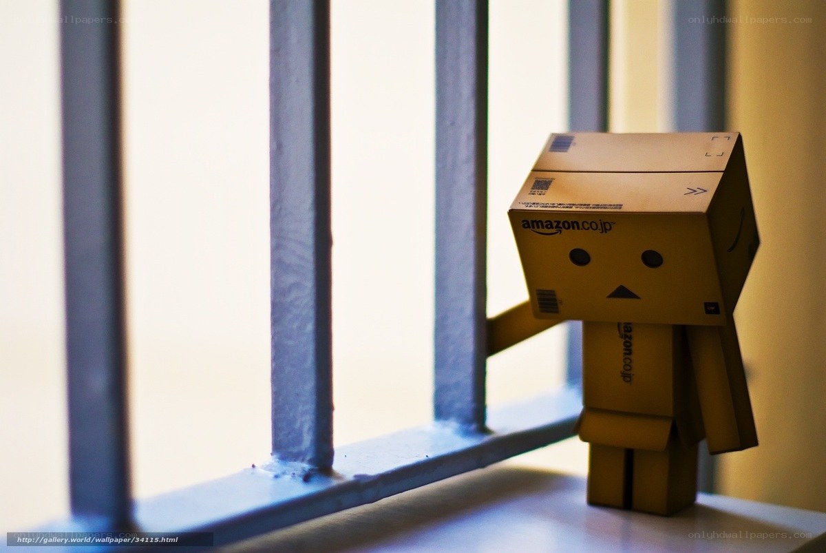 Danbo by a window
