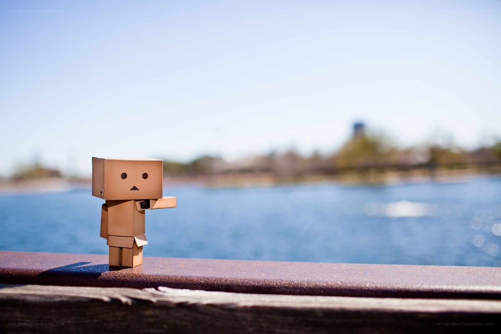Danbo by the water