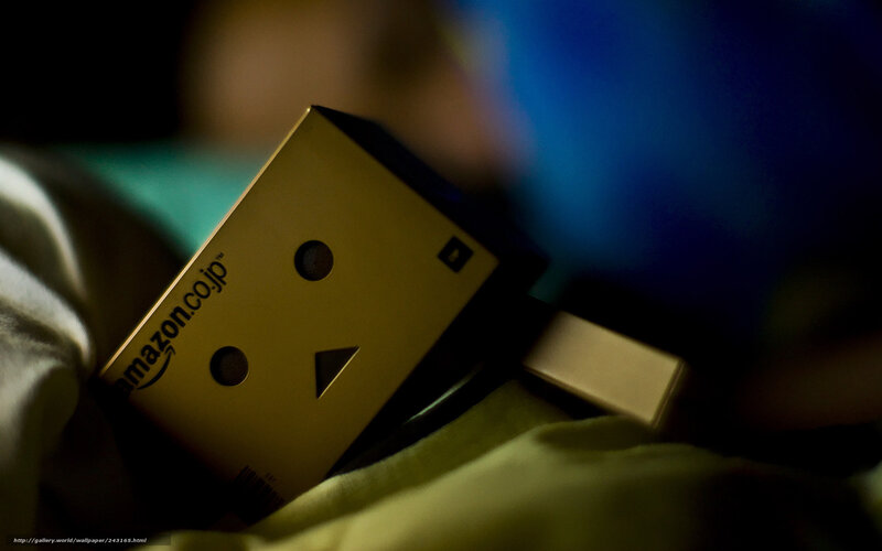 Danbo Cardboard Box — Brown